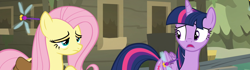 Size: 3854x1080 | Tagged: safe, composite screencap, edit, edited screencap, screencap, fluttershy, twilight sparkle, alicorn, dragonfly, insect, pegasus, pony, a health of information, g4, bag, duo, duo female, female, hayseed swamp, hut, saddle bag, tired, twilight sparkle (alicorn)