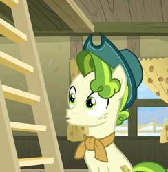 Size: 928x949 | Tagged: safe, screencap, pistachio, earth pony, pony, g4, my little pony best gift ever, cropped, green mane, green tail, hat, ladder, male, open mouth, solo, stallion, sweet acorn orchard, tail, teenager, wide eyes, window