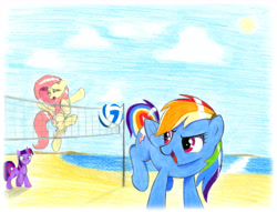 Size: 6609x5046 | Tagged: safe, artist:mizhisha, fluttershy, rainbow dash, twilight sparkle, pegasus, pony, unicorn, g4, absurd resolution, beach, beach volleyball, female, floppy ears, flying, mare, scared, traditional art, trio, trio female, unicorn twilight