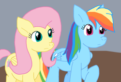 Size: 1075x728 | Tagged: safe, artist:cmara, fluttershy, rainbow dash, pegasus, pony, g4, duo, duo female, female