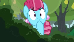 Size: 1920x1088 | Tagged: safe, screencap, cup cake, earth pony, g4, season 7, the perfect pear, blue coat, blue fur, bush, chiffon swirl, colored pupils, eyelashes, female, hoof in mouth, pink hair, pink mane, solo, watching, wide eyes