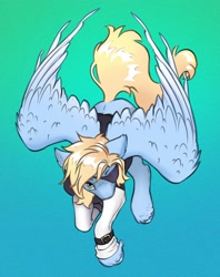 Size: 2670x3363 | Tagged: safe, artist:opalacorn, oc, oc only, oc:blue skies, pegasus, pony, clothes, ear fluff, eyepatch, gradient background, jacket, large wings, looking at you, male, narrowed eyes, partially open wings, solo, spread wings, stallion, tail, unshorn fetlocks, wings