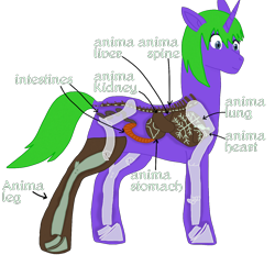 Size: 1400x1300 | Tagged: safe, artist:xada, oc, oc only, pony, unicorn, amputee, anatomy, anatomy chart, arrow, blue eyes, bone, chart, eyelashes, green mane, green tail, heart (organ), horn, intestines, liver, lungs, missing cutie mark, organs, prosthetic leg, prosthetic limb, prosthetics, purple coat, rimworld, simple background, solo, spine, tail, text, transparent background, unicorn oc, vein, x-ray