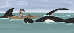 Size: 2900x1300 | Tagged: safe, artist:a0iisa, oc, oc only, oc:sea fair, orca, pony, yakutian horse, boat, ocean, water