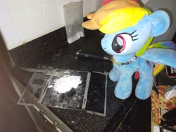 Size: 4160x3120 | Tagged: safe, rainbow dash, pegasus, g4, anonymous photographer, cocaine, drugs, female, irl, kitchen, knife, mare, photo, pizza box, plushie, tiled background, wat