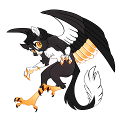 Size: 4504x4357 | Tagged: safe, artist:gigason, oc, oc only, oc:hawk, hybrid, g4, absurd resolution, adoptable, arm fluff, black fur, black hair, cheek fluff, chest fluff, claws, colored claws, colored legs, colored nose, colored paw pads, colored sclera, colored tail, colored wings, colored wingtips, eye markings, facial markings, frown, interspecies offspring, leg fluff, looking back, multicolored wings, multicolored wingtips, offspring, pale belly, parent:capper dapperpaws, parent:oc:secret tarry, parents:canon x oc, partially open wings, paw pads, paws, reverse griffon, simple background, solo, tail, transparent background, two toned ears, two toned tail, wall of tags, watermark, wings, yellow eyes, yellow sclera