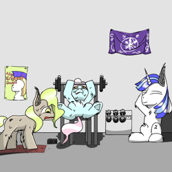 Size: 1500x1500 | Tagged: safe, artist:icycrymelon, shining armor, oc, earth pony, pony, unicorn, g4, dumbbells, flag, gym, horn, male, poster, relaxing, smiling, sweat, trio