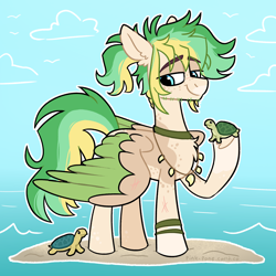 Size: 2100x2100 | Tagged: safe, artist:pink-pone, oc, oc only, oc:shark bait, pegasus, pony, turtle, artfight, blue eyes, bracelet, choker, cloud, colored belly, colored eyebrows, colored underhoof, colored wings, colored wingtips, cream belly, day, ear fluff, eyebrows, eyebrows visible through hair, facial hair, facial scar, gift art, green mane, green tail, green wingtips, high res, jewelry, leg markings, leg scar, lidded eyes, looking at something, magical lesbian spawn, male, male oc, necklace, next generation, nose scar, ocean, offspring, pale belly, parent:pinkie pie, parent:rainbow dash, parents:pinkiedash, pegasus oc, ponytail, sand, scar, shark tooth necklace, signature, sky, smiling, solo, spots, stallion, stallion oc, tail, three toned mane, three toned tail, tied mane, tooth necklace, two toned wings, underhoof, wall of tags, water, wing scar, wings