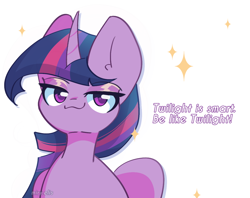 Size: 1200x950 | Tagged: safe, artist:miryelis, twilight sparkle, alicorn, pony, g4, big ears, female, looking at you, mare, meme, simple background, smiling, smug, solo, sparkles, text, white background