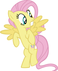 Size: 900x1095 | Tagged: safe, artist:hombre0, fluttershy, pegasus, pony, g4, simple background, solo, transparent background, vector