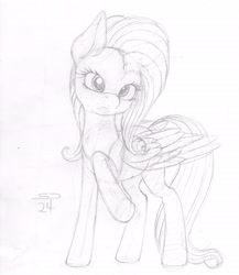 Size: 2000x2300 | Tagged: safe, artist:styroponyworks, fluttershy, pegasus, pony, g4, looking at you, monochrome, raised hoof, sketch, solo, traditional art