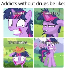 Size: 1126x1199 | Tagged: safe, artist:trrrebleee, edit, edited screencap, screencap, twilight sparkle, unicorn, g4, lesson zero, bird nest, caption, drugs, floppy ears, horn, meme, nest, solo, text, twilight snapple, unicorn twilight