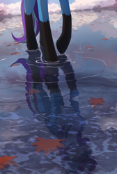 Size: 1836x2740 | Tagged: safe, artist:glumarkoj, oc, oc only, oc:nyaa fox, pegasus, pony, crying, high res, leaves, male, reflection, scenery, solo, teardrop, walking, water