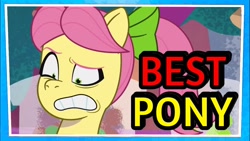 Size: 1280x720 | Tagged: safe, edit, edited screencap, screencap, posey bloom, earth pony, pony, g5, my little pony: tell your tale, nightmare nightmarket, spoiler:g5, spoiler:my little pony: tell your tale, eyebrows, female, mare, raised eyebrow, solo, thumbnail, youtube link, youtube thumbnail