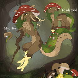 Size: 3000x3000 | Tagged: safe, artist:beardie, oc, oc only, oc:mycelia, draconequus, pony, adoptable, forest background, hat, mushroom, mushroom hat, reference sheet, walking stick