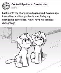 Size: 2000x2397 | Tagged: safe, artist:captainhoers, oc, oc only, changeling, pony, unicorn, black and white, changeling oc, disguise, disguised changeling, duo, duo female, female, grayscale, horn, looking up, mare, monochrome, ponified animal photo, self paradox, self ponidox, sitting, text