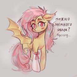 Size: 2100x2100 | Tagged: safe, artist:krista-21, fluttershy, bat pony, pony, g4, bat ponified, blush lines, blushing, clothes, cyrillic, ear blush, ear tufts, female, flutterbat, gray background, knee blush, long socks, looking at you, mare, no mouth, race swap, ribbon, russian, signature, simple background, slit pupils, socks, solo, spread wings, stockings, talking to viewer, thigh highs, translation request, wings