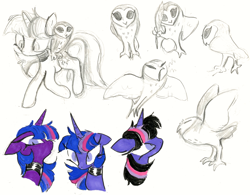 Size: 2048x1600 | Tagged: safe, artist:heartlurch, owlowiscious, twilight sparkle, bird, owl, pony, unicorn, g4, choker, duo, horn, simple background, traditional art, unicorn twilight, white background