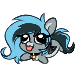 Size: 500x500 | Tagged: safe, artist:pesty_skillengton, oc, oc only, oc:luny, bat pony, pony, bat pony oc, bat wings, chibi, coat markings, collar, colored belly, colored muzzle, colored pinnae, colored wings, derp, eye clipping through hair, eyelashes, facial markings, folded wings, gray coat, pale belly, pale muzzle, silly, silly face, simple background, sketch, snip (coat marking), solo, tail, tongue out, transparent background, two toned mane, two toned tail, wings