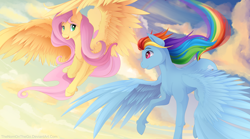 Size: 7200x4000 | Tagged: safe, artist:thenornonthego, fluttershy, rainbow dash, pegasus, pony, g4, absurd resolution, cloud, cute, duo, duo female, eyebrows, female, flying, large wings, long mane, long tail, looking at each other, looking at someone, mare, open mouth, open smile, outdoors, rainbow trail, sky, smiling, smiling at each other, spread wings, sternocleidomastoid, tail, windswept mane, wings