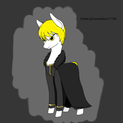 Size: 2000x2000 | Tagged: safe, artist:cassandra211190, oc, earth pony, pony, clothes, earth pony oc