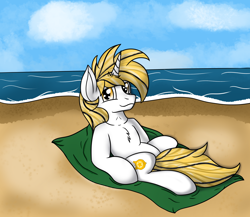 Size: 4206x3649 | Tagged: safe, oc, oc only, oc:srok, pony, unicorn, beach, horn, ocean, sand, sky, solo, water