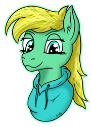 Size: 2591x3590 | Tagged: safe, oc, oc only, pony, clothes, hoodie, simple background, solo, transparent background