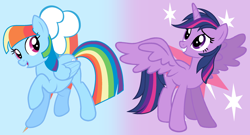 Size: 2352x1272 | Tagged: safe, artist:cmors12, rainbow dash, twilight sparkle, alicorn, pegasus, pony, g4, alternate hairstyle, cutie mark, cutie mark background, duo, duo female, female, gradient background, mane swap, manebow sparkle, mare, twilight sparkle (alicorn)