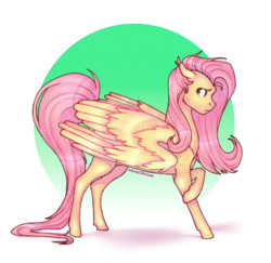 Size: 540x525 | Tagged: safe, artist:equeslibrium, fluttershy, pegasus, pony, g4, concave belly, folded wings, long tail, simple background, solo, tail, wings