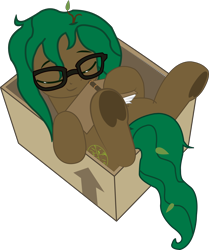 Size: 4142x4957 | Tagged: safe, artist:ihavenoinsight, oc, oc only, oc:formione, demon, demon pony, pony, book, box, brown coat, cardboard box, cute, eyes closed, glasses, green mane, green tail, in a box, leaves in tail, lying down, pony in a box, simple background, sleeping, smiling, solo, stick in mane, tail, transparent background, uwu, when demons awake