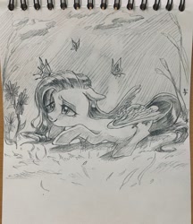 Size: 1768x2048 | Tagged: safe, artist:g5p7r, fluttershy, butterfly, pegasus, pony, g4, black and white, female, grayscale, lying down, mare, monochrome, prone, sketch, solo, traditional art