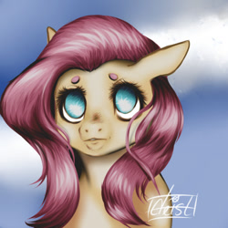 Size: 500x500 | Tagged: safe, artist:mossymoth, fluttershy, pegasus, pony, g4, solo