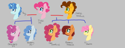 Size: 1632x628 | Tagged: safe, artist:trollertnt, cheese sandwich, li'l cheese, party favor, pinkie pie, oc, oc:blueberry pie, oc:jam sandwich, oc:raspberry jam, oc:strawberry pie, earth pony, pony, unicorn, g4, family tree, female, gray background, horn, lineless, male, mare, offspring, parent:cheese sandwich, parent:party favor, parent:pinkie pie, parents:cheesepie, parents:partypie, polyamory, ship:cheesepie, ship:partypie, shipping, simple background, stallion, straight