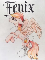 Size: 719x960 | Tagged: source needed, safe, artist:enjaadjital, oc, oc only, pegasus, ash, colored pencil drawing, concave belly, floppy ears, flying, gradient mane, pegasus oc, simple background, slender, smiling, solo, spread wings, text, thin, traditional art, white background, wings