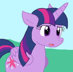 Size: 816x805 | Tagged: safe, artist:cmara, twilight sparkle, alicorn, g4, female, solo, twilight sparkle (alicorn)