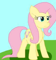 Size: 921x981 | Tagged: safe, artist:cmara, fluttershy, pegasus, g4, female, solo