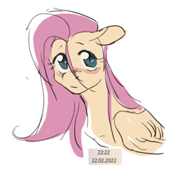 Size: 904x897 | Tagged: safe, artist:poselenets, fluttershy, pegasus, pony, g4, 2022, ears back, female, freckles, looking at you, loose hair, mare, simple background, solo, white background, wings