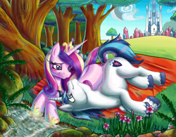 Size: 4770x3715 | Tagged: safe, artist:kcday, princess cadance, shining armor, alicorn, pony, unicorn, g4, absurd resolution, blanket, blush sticker, blushing, crown, crystal empire, cute, cutedance, duo, duo male and female, female, flower, folded wings, forest, grass, hoof shoes, horn, jewelry, looking at each other, looking at someone, lying down, male, mare, nature, on side, outdoors, princess shoes, prone, regalia, river, scenery, shining adorable, ship:shiningcadance, shipping, smiling, smiling at each other, stallion, straight, stream, tail, tree, unshorn fetlocks, water, wings
