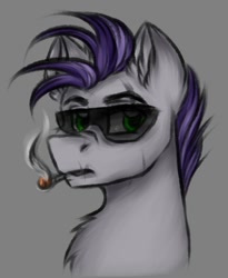 Size: 587x716 | Tagged: safe, artist:darklight1315, oc, oc only, oc:botcher, earth pony, pony, fallout equestria, cigarette, fallout equestria: mayday, gray background, simple background, smoking, solo, sunglasses