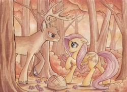 Size: 6802x4928 | Tagged: safe, artist:the-wizard-of-art, fluttershy, deer, pegasus, pony, g4, absurd resolution, antlers, basket, buck, bush, cloven hooves, duo, duo male and female, female, flower, folded wings, forest, looking at each other, looking at someone, male, mare, nature, outdoors, profile, raised hoof, side view, stag, tail, traditional art, tree, unshorn fetlocks, watercolor painting, whitetail deer, whitetail woods, wings