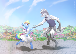 Size: 3508x2480 | Tagged: safe, artist:nononge, rainbow dash, oc, pegasus, wolf, anthro, digitigrade anthro, unguligrade anthro, g4, beastars, canon x oc, clothes, cosplay, costume, duo, flower, furry, furry oc, haru (beastars), holding hands, legosi (beastars), looking at each other, looking at someone, open mouth, open smile, shipping, smiling, wingless, wingless anthro