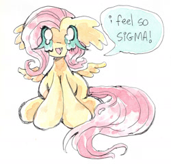 Size: 1744x1672 | Tagged: safe, artist:larvaecandy, fluttershy, pegasus, pony, g4, big eyes, big hooves, colored sclera, dialogue, ear fluff, eye clipping through hair, eyelashes, fangs, female, floppy ears, long mane, long tail, looking at you, mare, no pupils, open mouth, open smile, pink mane, pink tail, scan, sigma, simple background, sitting, small wings, smiling, smiling at you, solo, speech bubble, spread wings, tail, talking, talking to viewer, teal eyes, teal sclera, text, traditional art, watercolor painting, wavy mane, wavy tail, white background, wingding eyes, wings, yellow coat
