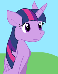 Size: 651x827 | Tagged: safe, artist:cmara, twilight sparkle, alicorn, pony, g4, female, folded wings, mare, outdoors, sitting, solo, twilight sparkle (alicorn), wings