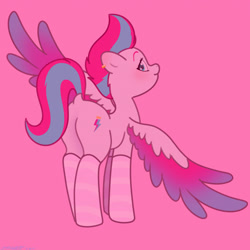 Size: 2480x2480 | Tagged: safe, artist:starburstuwu, zipp storm, pegasus, pony, g5, adorazipp, blushing, butt, clothes, colored wings, cute, dock, ear piercing, earring, female, high res, jewelry, looking at you, looking back, looking back at you, mare, multicolored wings, piercing, pink background, plot, ponies in socks, rear view, simple background, smiling, socks, solo, spread wings, striped socks, tail, wings, zippbutt