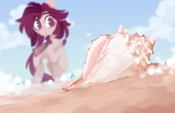 Size: 1207x783 | Tagged: safe, artist:crimmharmony, oc, oc only, oc:crimm harmony, bat pony, pony, beach, blurry background, cloud, conch, depth of field, out of focus, sand, seashell, shell, sky, solo, sunny day