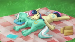 Size: 1900x1061 | Tagged: safe, artist:eltanin14d, artist:eltanin_hane, bon bon, lyra heartstrings, sweetie drops, earth pony, pony, unicorn, g4, butt, duo, duo female, female, horn, lying down, mare, on side, picnic blanket, plot, pony pillow, sleeping