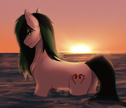 Size: 2800x2400 | Tagged: safe, artist:enderbee, oc, oc only, oc:trance sequence, earth pony, pony, looking back, male, ocean, solo, stallion, sunset, water