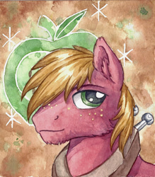 Size: 2178x2490 | Tagged: safe, artist:the-wizard-of-art, big macintosh, earth pony, pony, g4, big macintosh's yoke, ear fluff, freckles, high res, horse collar, looking at you, male, solo, stallion, traditional art, watercolor painting, yoke