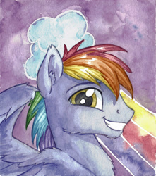 Size: 2190x2474 | Tagged: safe, artist:the-wizard-of-art, rainbow blaze, pegasus, pony, g4, grin, high res, looking at you, male, partially open wings, profile, smiling, smiling at you, solo, stallion, traditional art, watercolor painting, wings