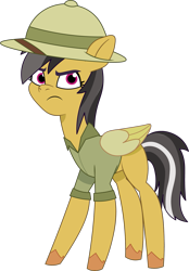 Size: 1081x1555 | Tagged: safe, artist:prixy05, daring do, pegasus, pony, g4, g5, my little pony: tell your tale, female, folded wings, g4 to g5, generation leap, mare, safari hat, simple background, solo, thin, transparent background, vector, wings